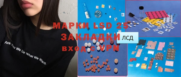 твердый Верхний Тагил
