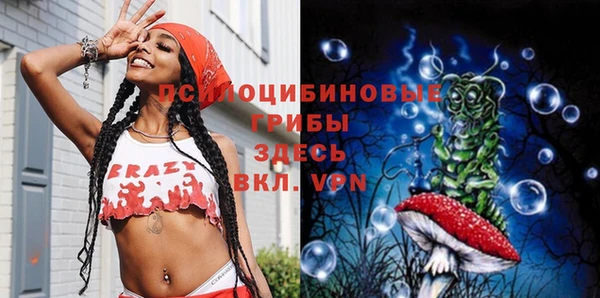 твердый Верхний Тагил