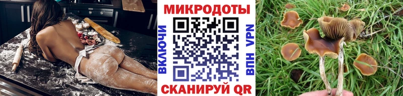 Псилоцибиновые грибы Psilocybine cubensis МЕГА вход Гусев