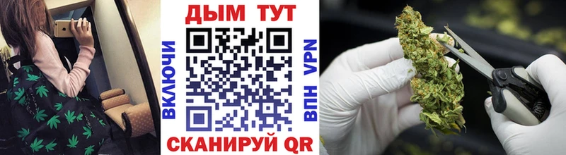 МАРИХУАНА индика Гусев
