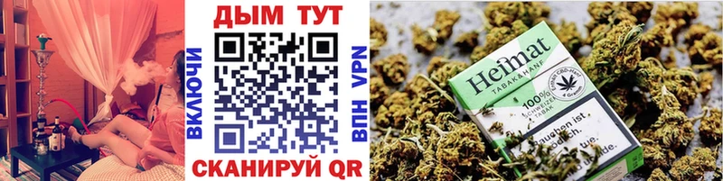 Бошки марихуана Amnesia  kraken зеркало  Гусев  закладки 
